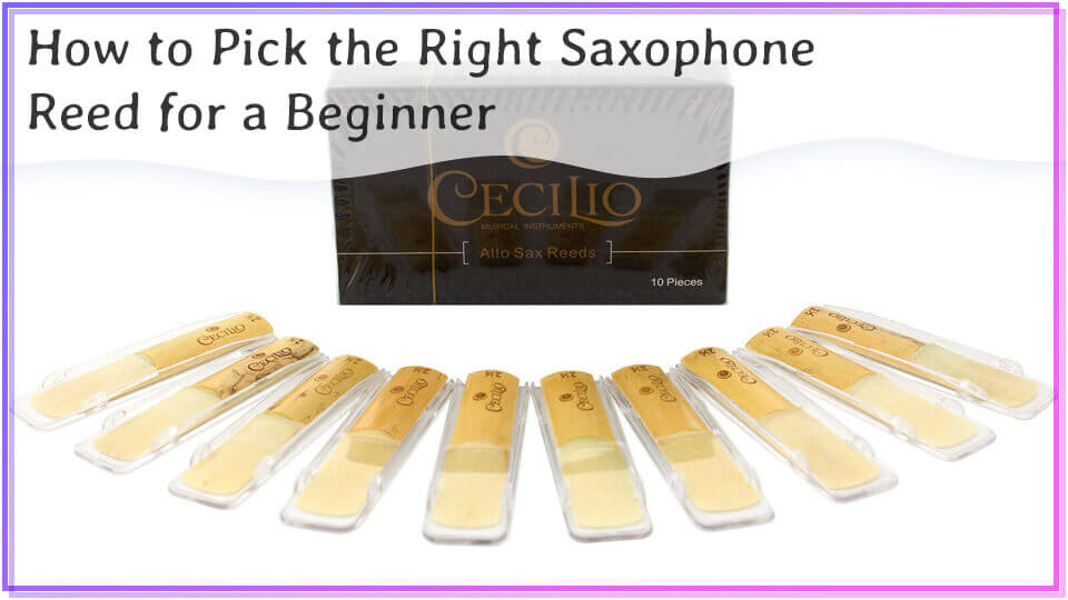 How to Pick the Right Saxophone Reed for a Beginner